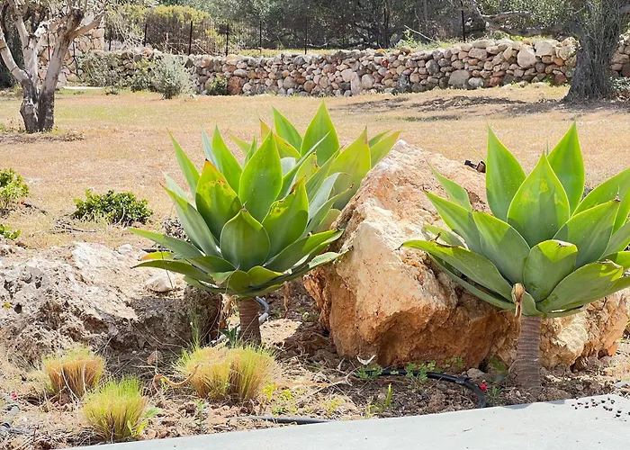 Villa Serene By Milos Concierge Villa *